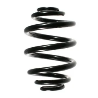 Ressort de suspension SPIDAN 49167