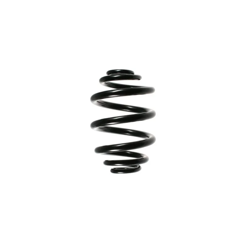 Ressort de suspension SPIDAN 49167