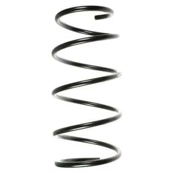 Ressort de suspension SPIDAN 49170