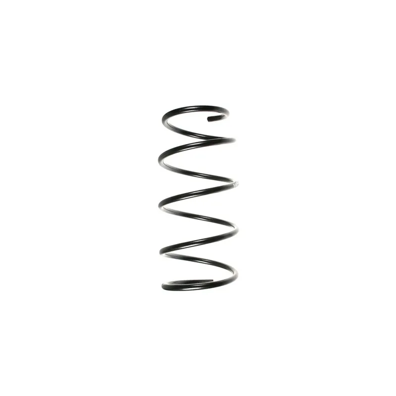 Ressort de suspension SPIDAN 49170