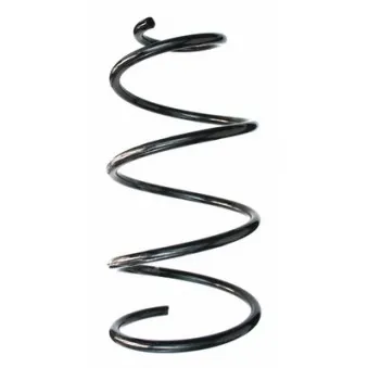 Ressort de suspension SPIDAN 49187