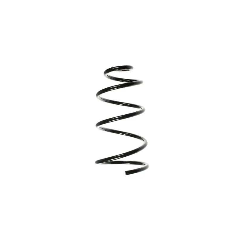 Ressort de suspension SPIDAN 49189