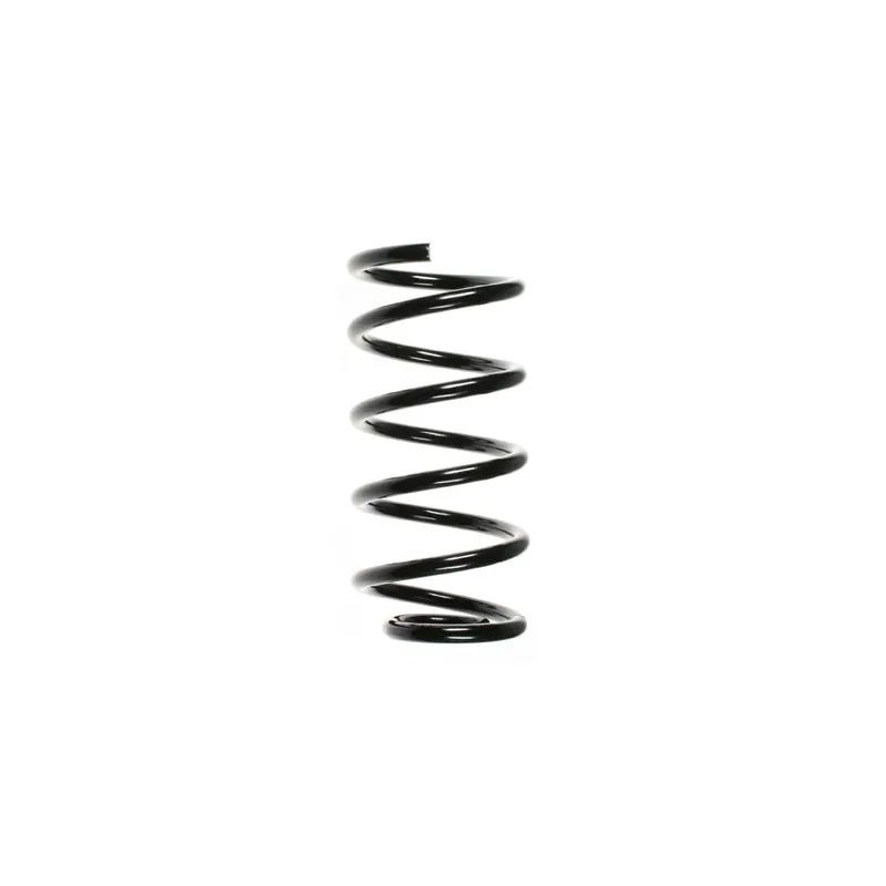 Ressort de suspension SPIDAN 49190