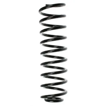 Ressort de suspension SPIDAN 49192