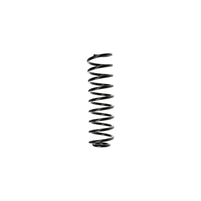 Ressort de suspension SPIDAN 49192