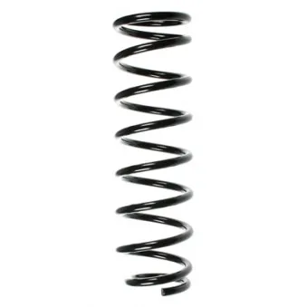 Ressort de suspension SPIDAN 49200