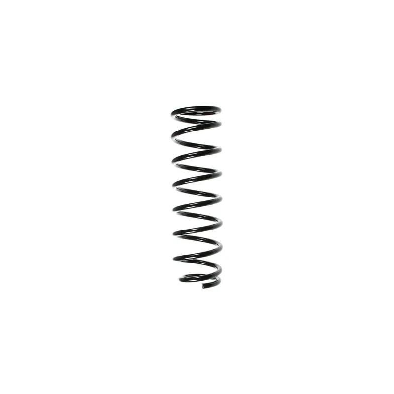 Ressort de suspension SPIDAN 49200