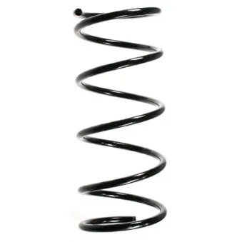 Ressort de suspension SPIDAN 49217