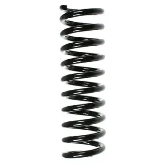Ressort de suspension SPIDAN 49222