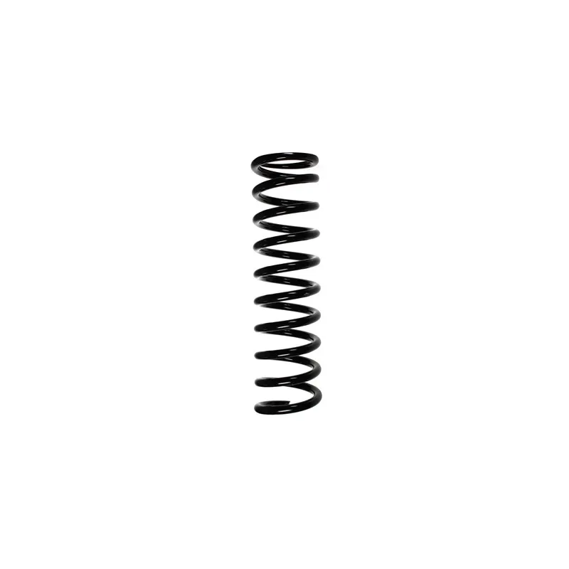 Ressort de suspension SPIDAN 49223