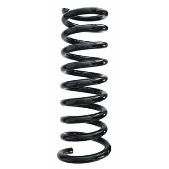 Ressort de suspension SPIDAN 49224