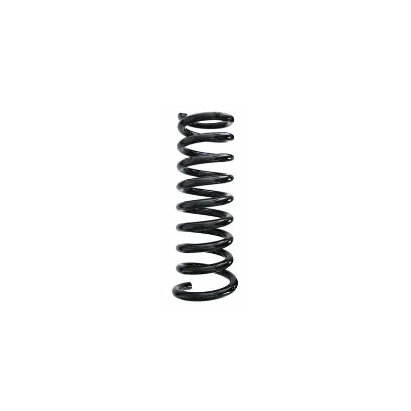 Ressort de suspension SPIDAN 49224