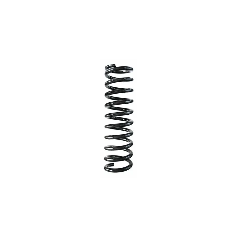 Ressort de suspension SPIDAN 49225