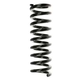 Ressort de suspension SPIDAN 49227
