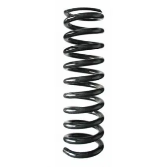 Ressort de suspension SPIDAN 49232