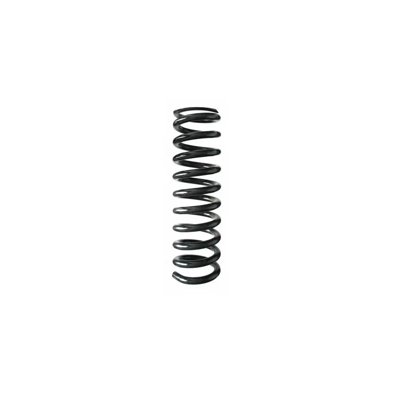 Ressort de suspension SPIDAN 49232