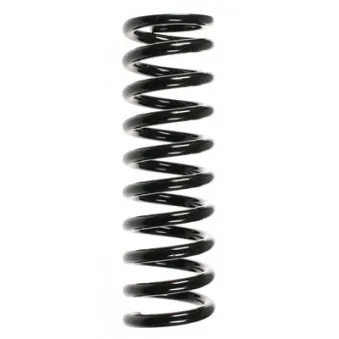 Ressort de suspension SPIDAN 49235
