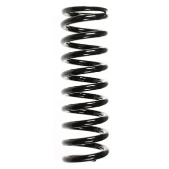 Ressort de suspension SPIDAN 49237