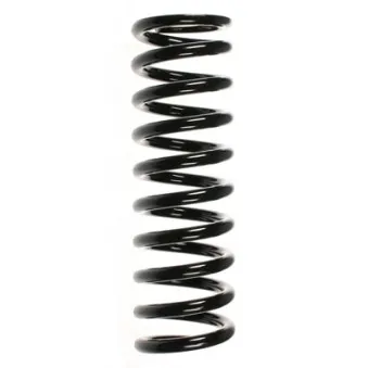 Ressort de suspension SPIDAN 49240