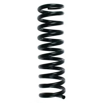 Ressort de suspension SPIDAN 49241