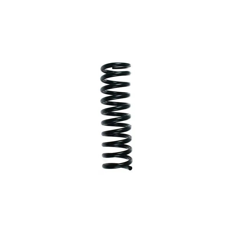 Ressort de suspension SPIDAN 49241