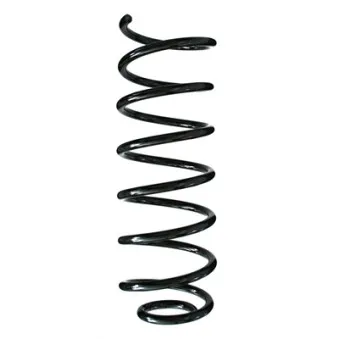 Ressort de suspension SPIDAN 49256