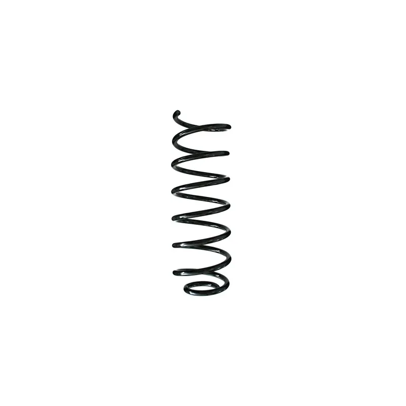Ressort de suspension SPIDAN 49256
