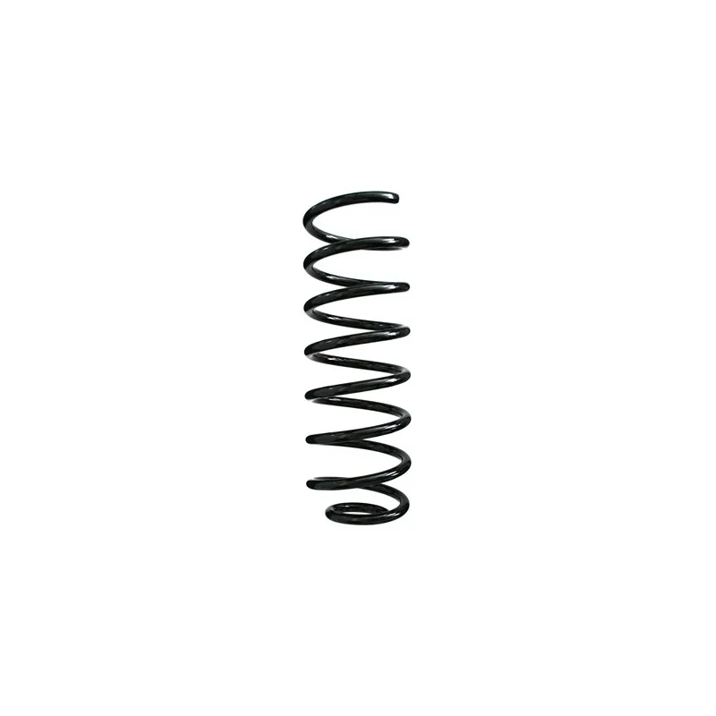 Ressort de suspension SPIDAN 49257
