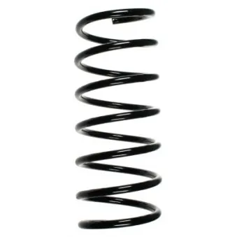 Ressort de suspension SPIDAN 49260