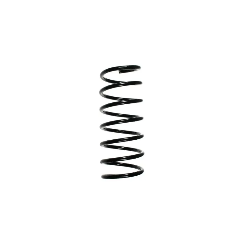 Ressort de suspension SPIDAN 49260