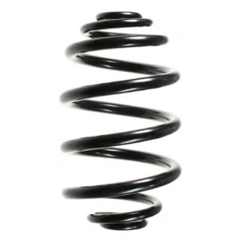 Ressort de suspension SPIDAN 49266