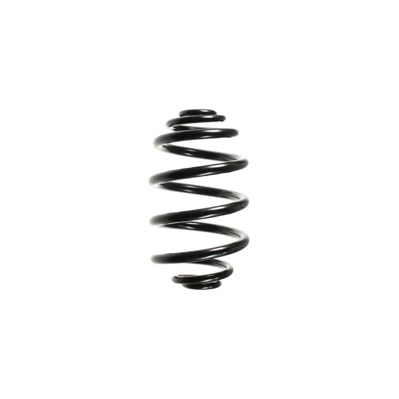 Ressort de suspension SPIDAN 49266