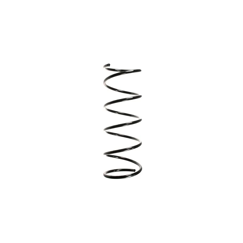 Ressort de suspension SPIDAN 49269