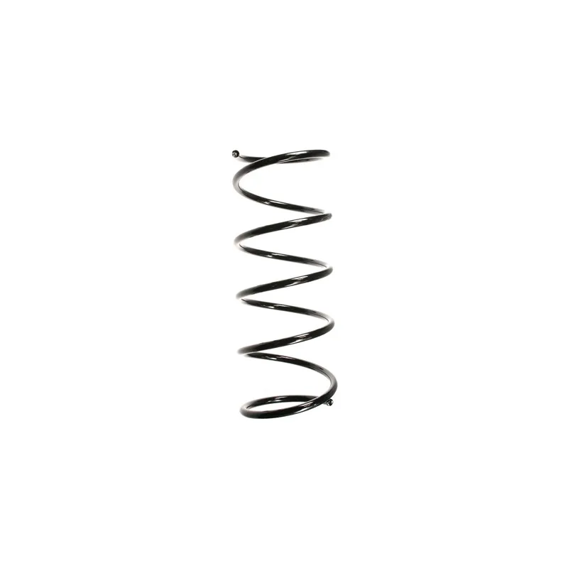 Ressort de suspension SPIDAN 49270
