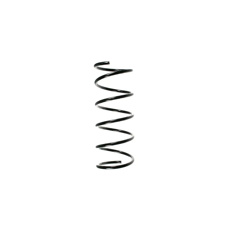 Ressort de suspension SPIDAN 49271