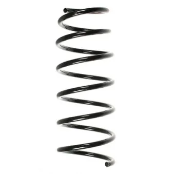 Ressort de suspension SPIDAN 49276