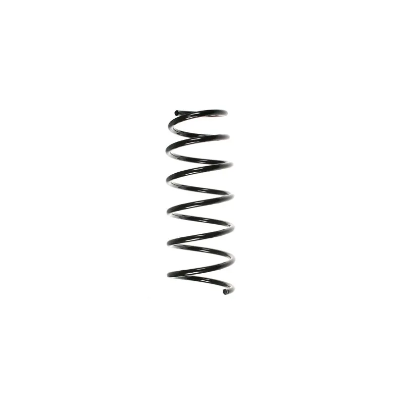 Ressort de suspension SPIDAN 49276