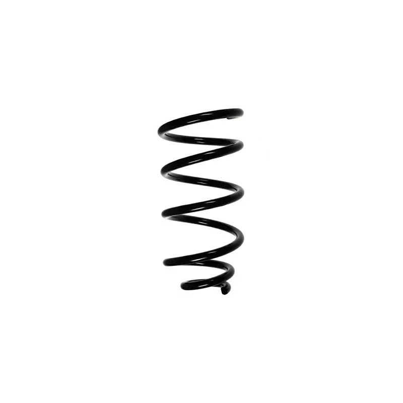 Ressort de suspension SPIDAN 49278