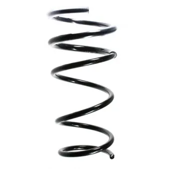 Ressort de suspension SPIDAN 49281