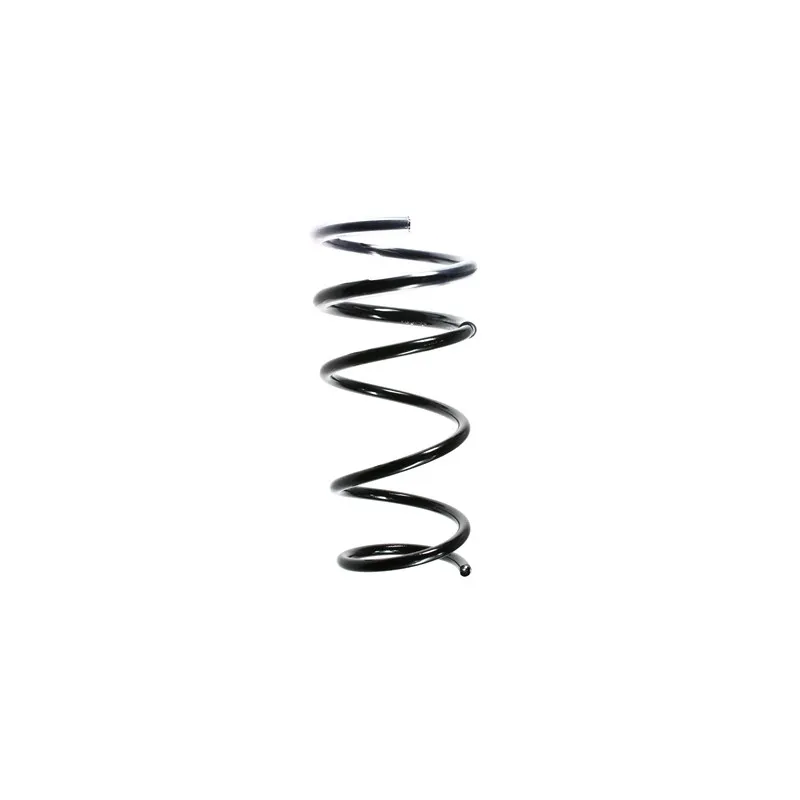 Ressort de suspension SPIDAN 49281