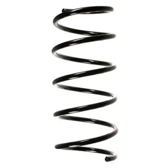 Ressort de suspension SPIDAN 49282