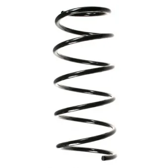 Ressort de suspension SPIDAN 49283