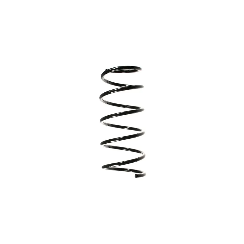 Ressort de suspension SPIDAN 49283