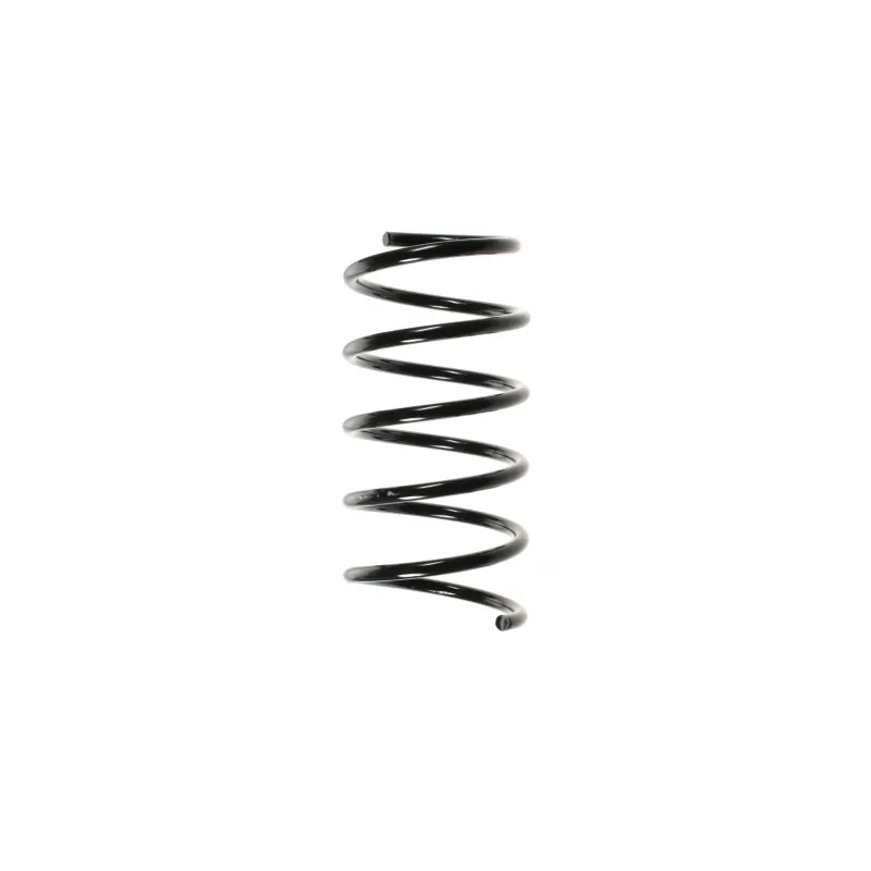 Ressort de suspension SPIDAN 49285