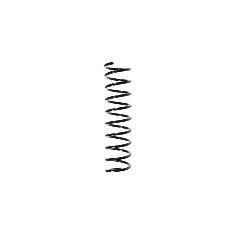 Ressort de suspension SPIDAN 49287
