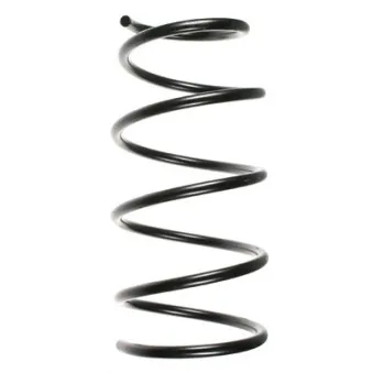 Ressort de suspension SPIDAN 49297