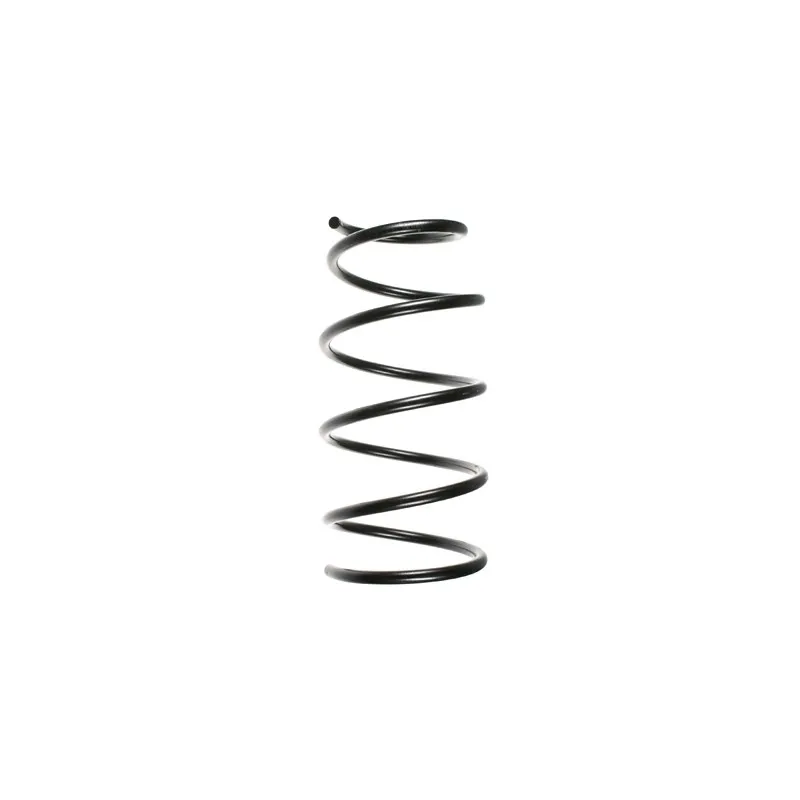 Ressort de suspension SPIDAN 49297