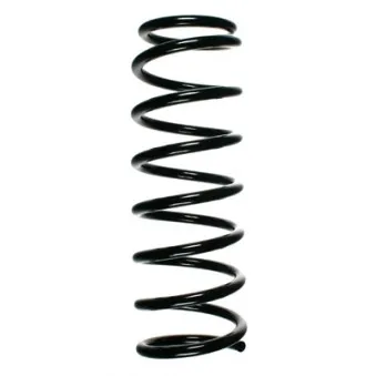 Ressort de suspension SPIDAN 49304