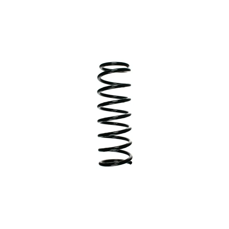 Ressort de suspension SPIDAN 49304
