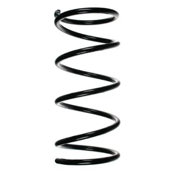 Ressort de suspension SPIDAN 49307